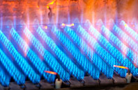 Rakeway gas fired boilers